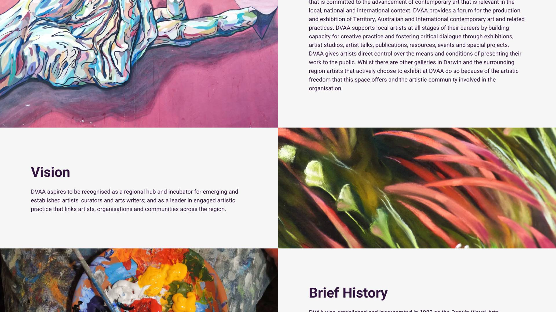 Screenshot of Darwin Visual Arts
