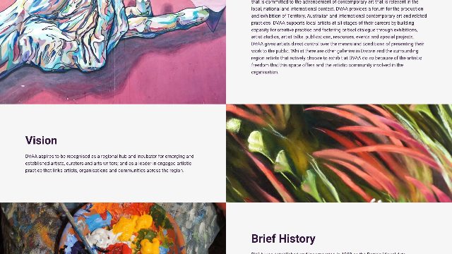 Darwin Visual Arts